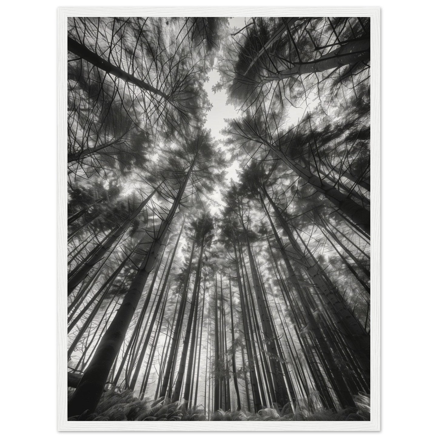 Poster Forêt Noir et Blanc ( 45x60-cm-Bois-blanc)