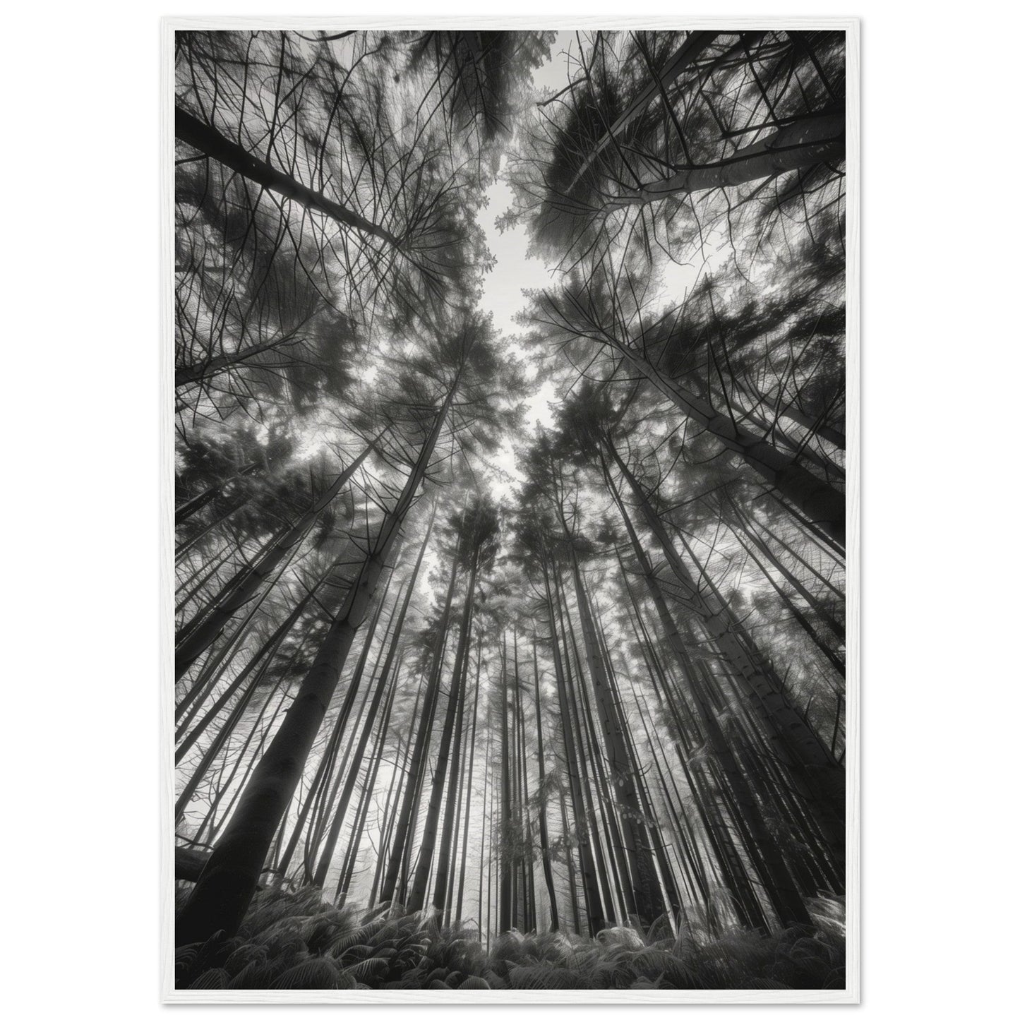 Poster Forêt Noir et Blanc ( 70x100-cm-Bois-blanc)