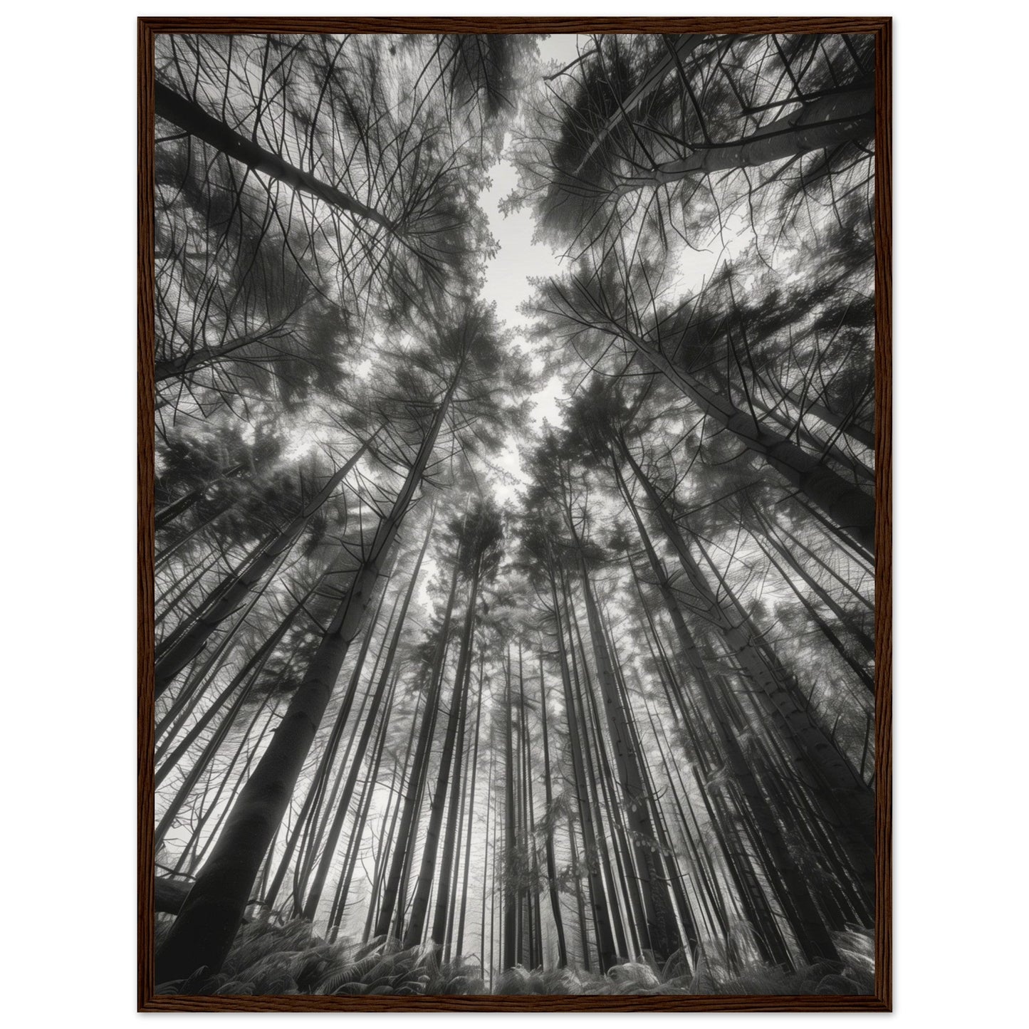 Poster Forêt Noir et Blanc ( 60x80-cm-Bois-foncé)