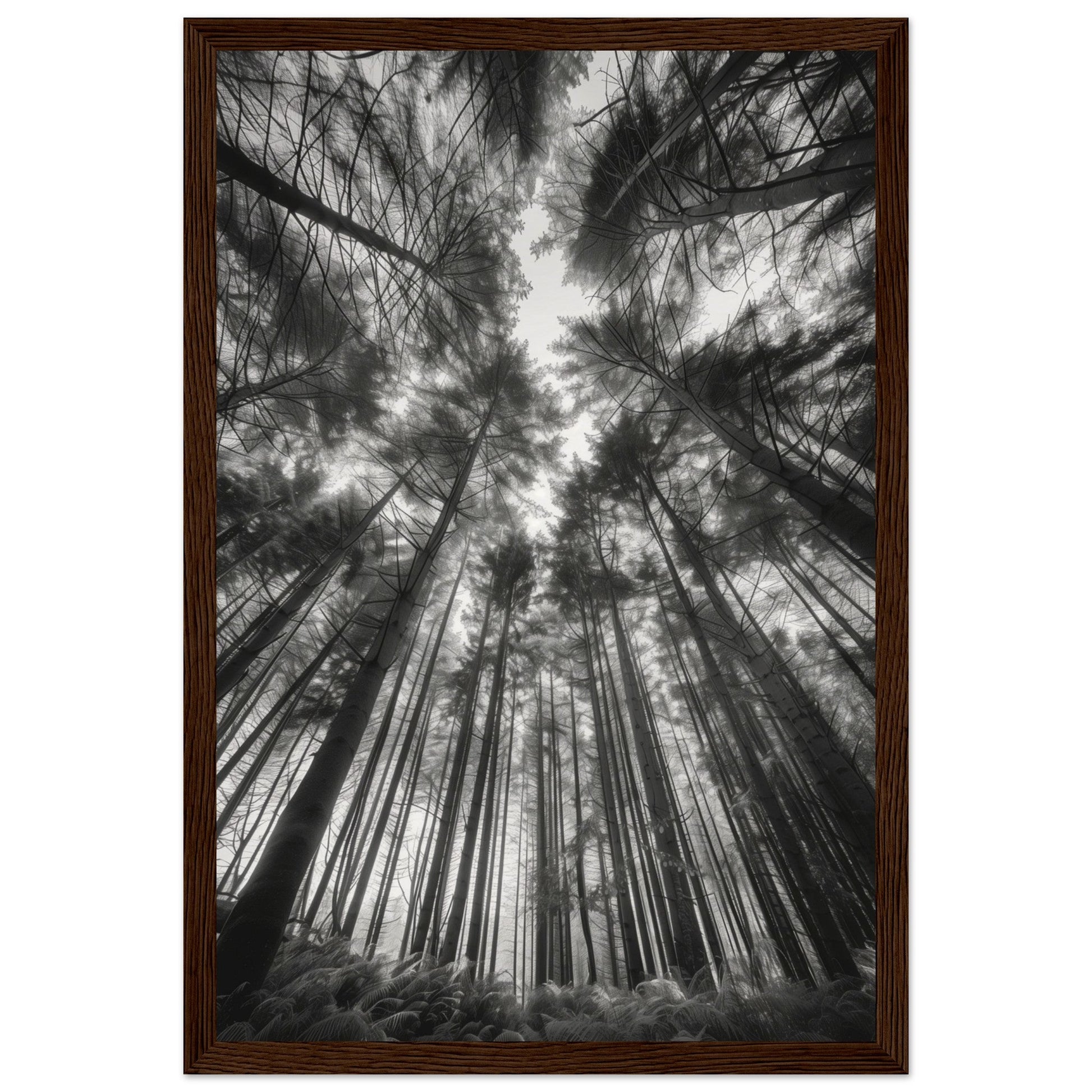 Poster Forêt Noir et Blanc ( 30x45-cm-Bois-foncé)