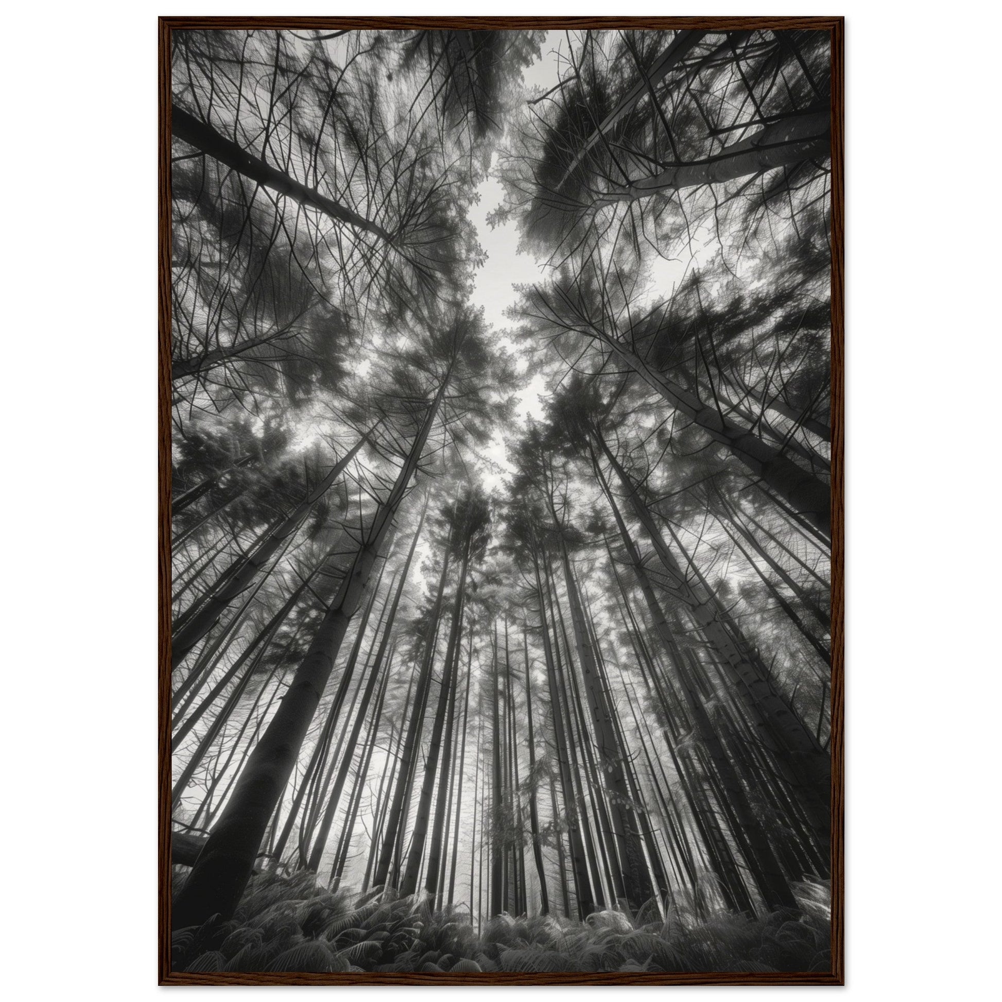 Poster Forêt Noir et Blanc ( 70x100-cm-Bois-foncé)