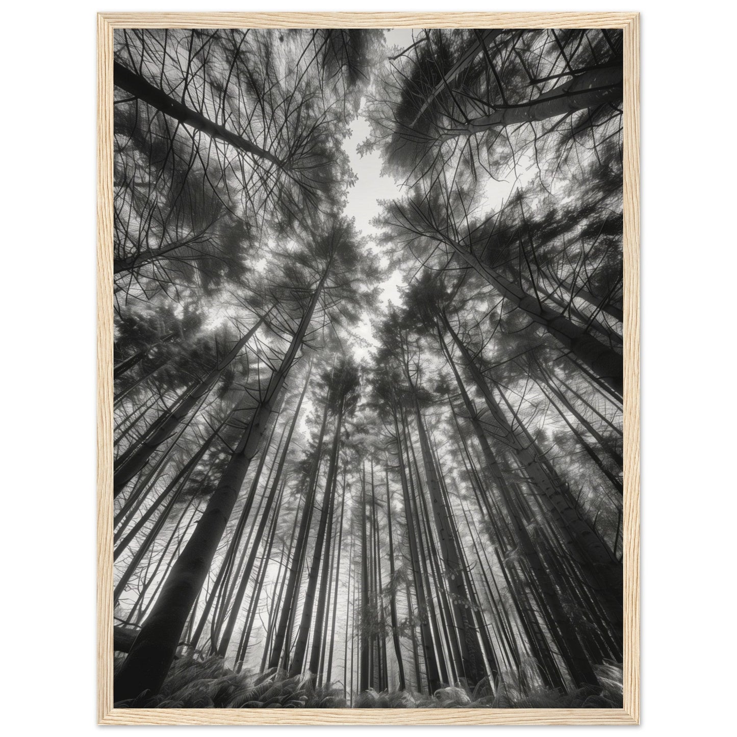 Poster Forêt Noir et Blanc ( 45x60-cm-Bois-clair)