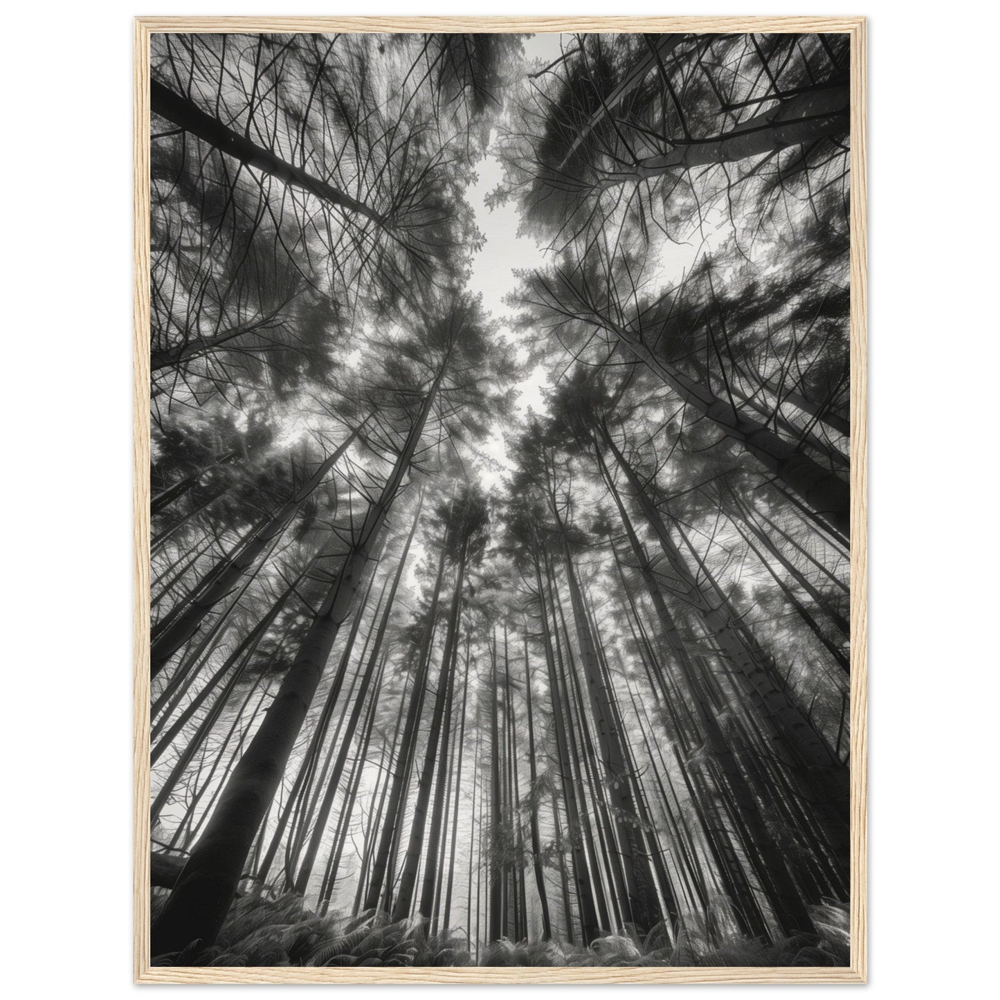 Poster Forêt Noir et Blanc ( 60x80-cm-Bois-clair)