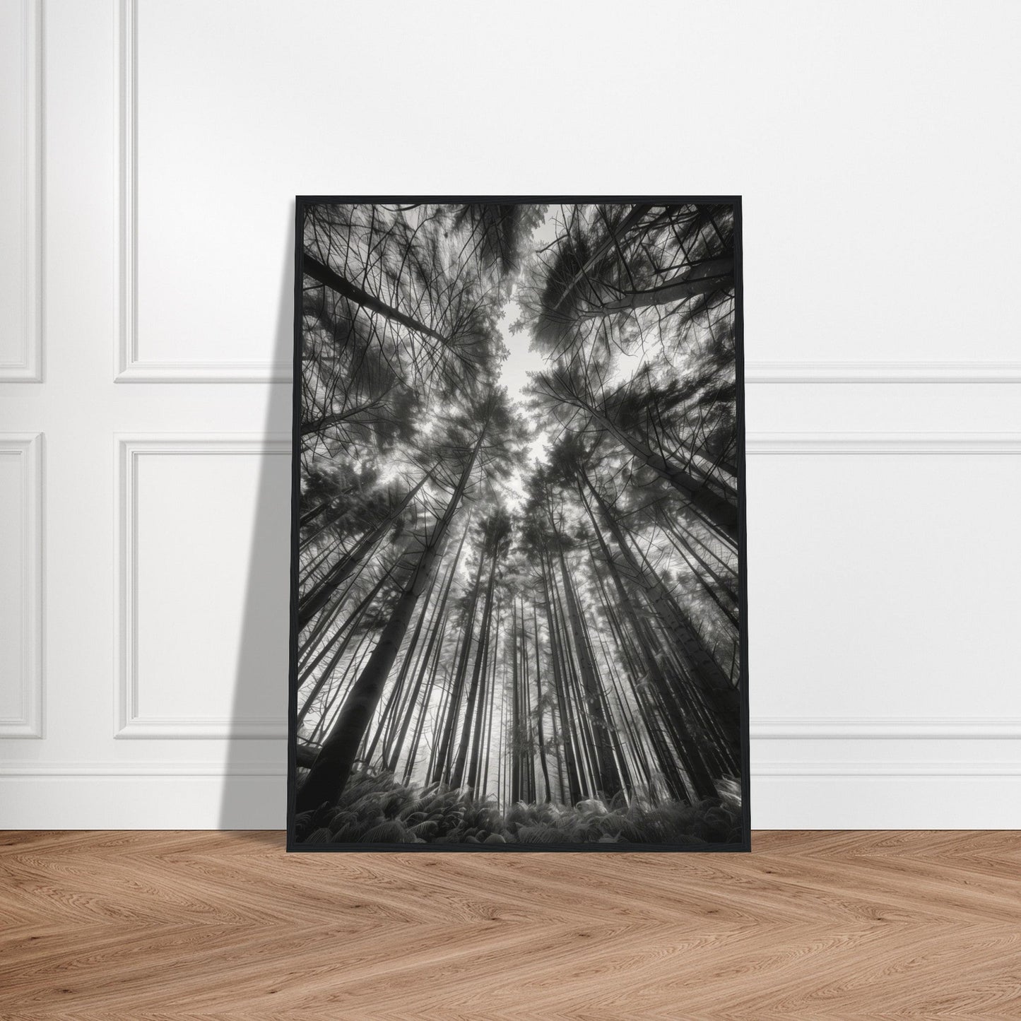 Poster Forêt Noir et Blanc ( )