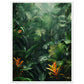 Poster Jungle ( 60x80-cm-Bois-blanc)