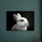 Poster Lapin Noir et Blanc ( )