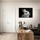 Poster Lapin Noir et Blanc ( )