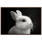 Poster Lapin Noir et Blanc ( 60x90-cm-Bois-foncé)