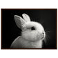 Poster Lapin Noir et Blanc ( 50x70-cm-Bois-foncé)