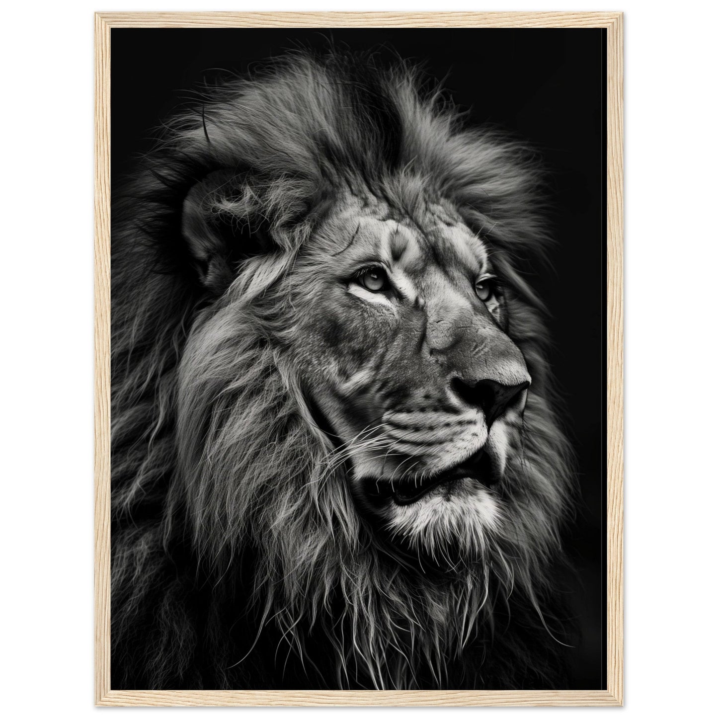 Poster Lion Noir et Blanc ( 45x60-cm-Bois-clair)