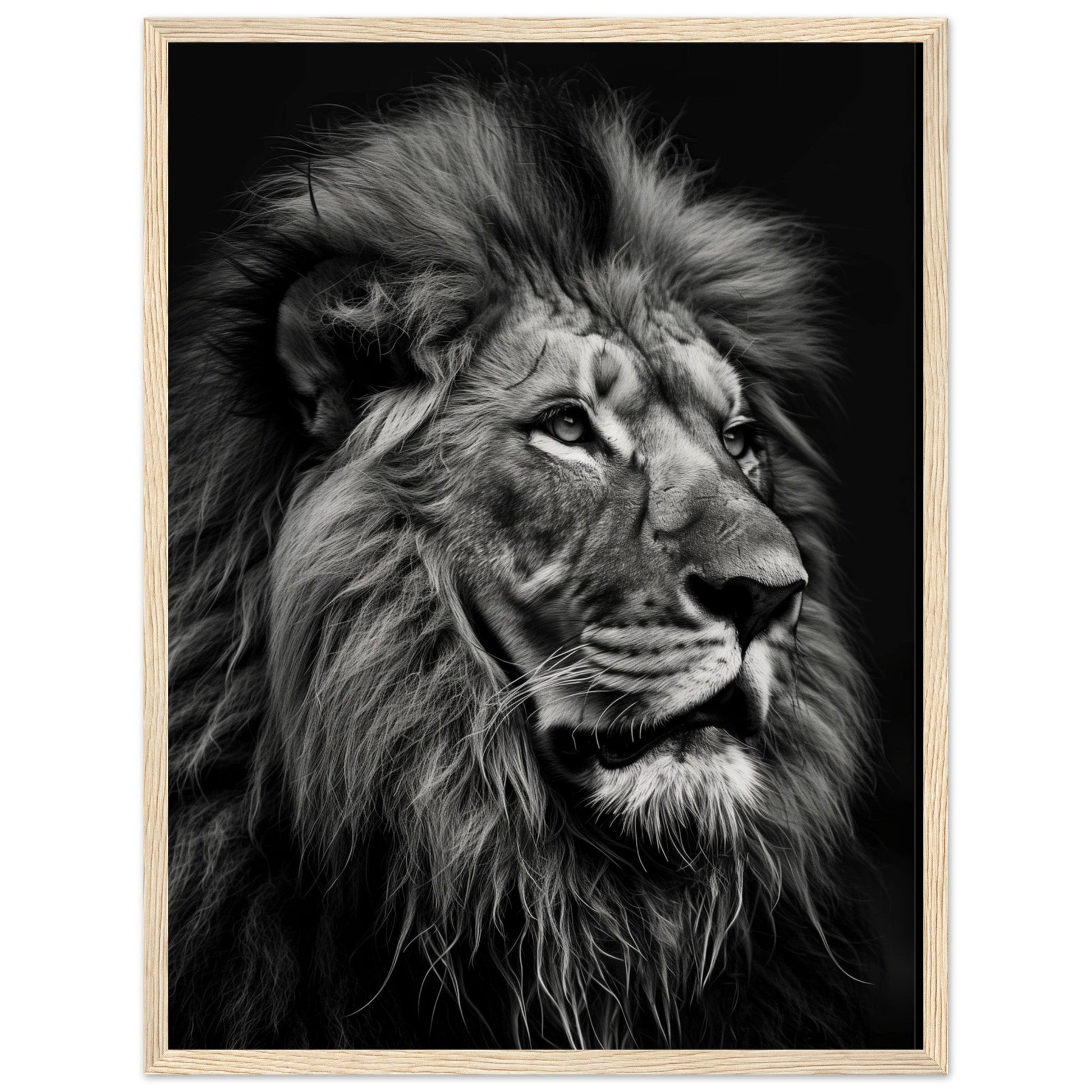 Poster Lion Noir et Blanc ( 45x60-cm-Bois-clair)