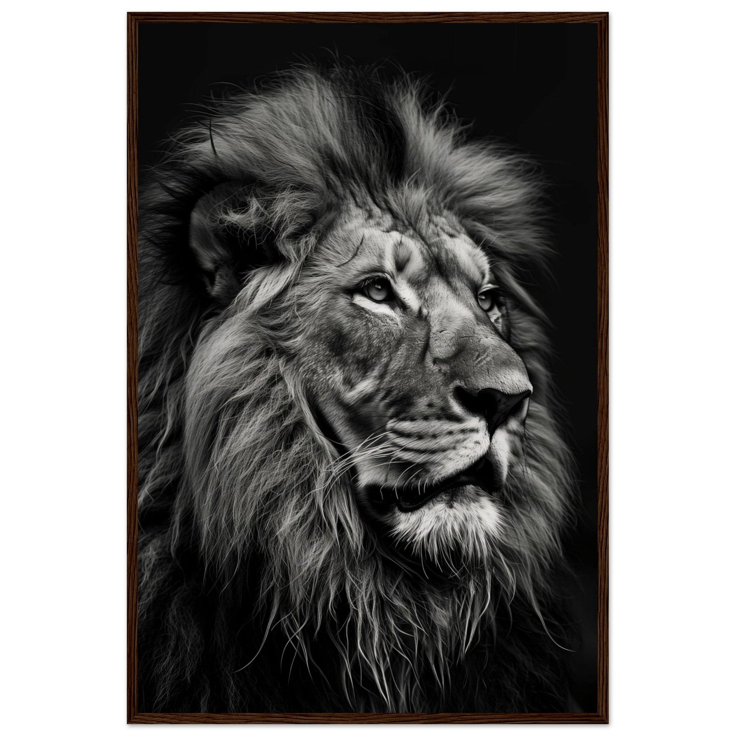 Poster Lion Noir et Blanc ( 60x90-cm-Bois-foncé)