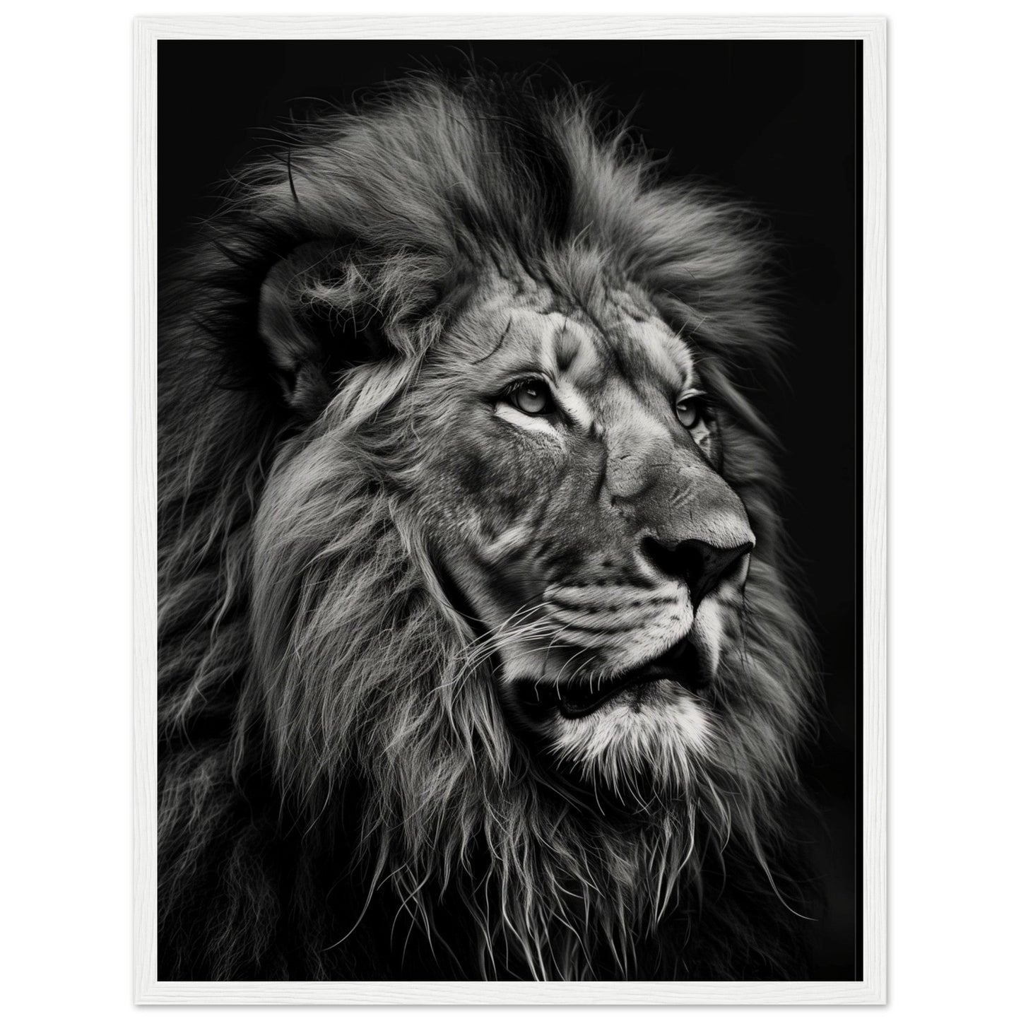 Poster Lion Noir et Blanc ( 45x60-cm-Bois-blanc)