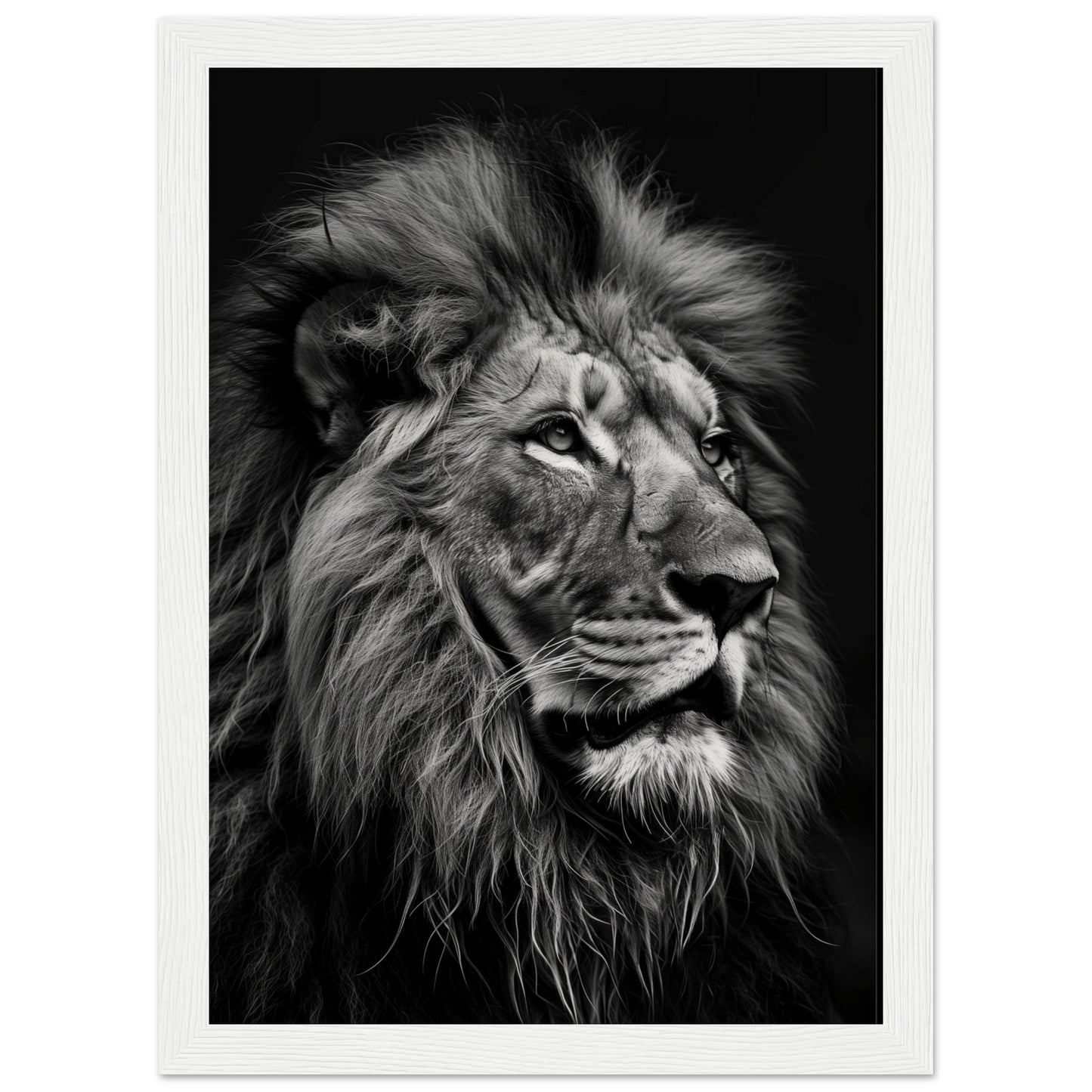 Poster Lion Noir et Blanc ( 21x29.7-cm-Bois-blanc)