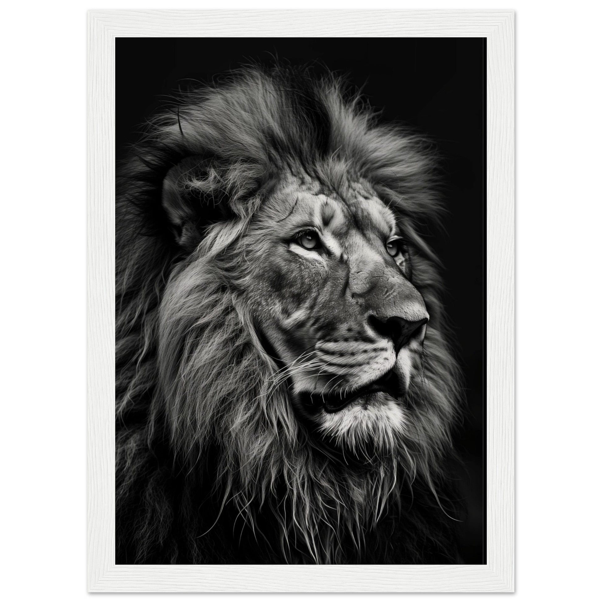 Poster Lion Noir et Blanc ( 21x29.7-cm-Bois-blanc)