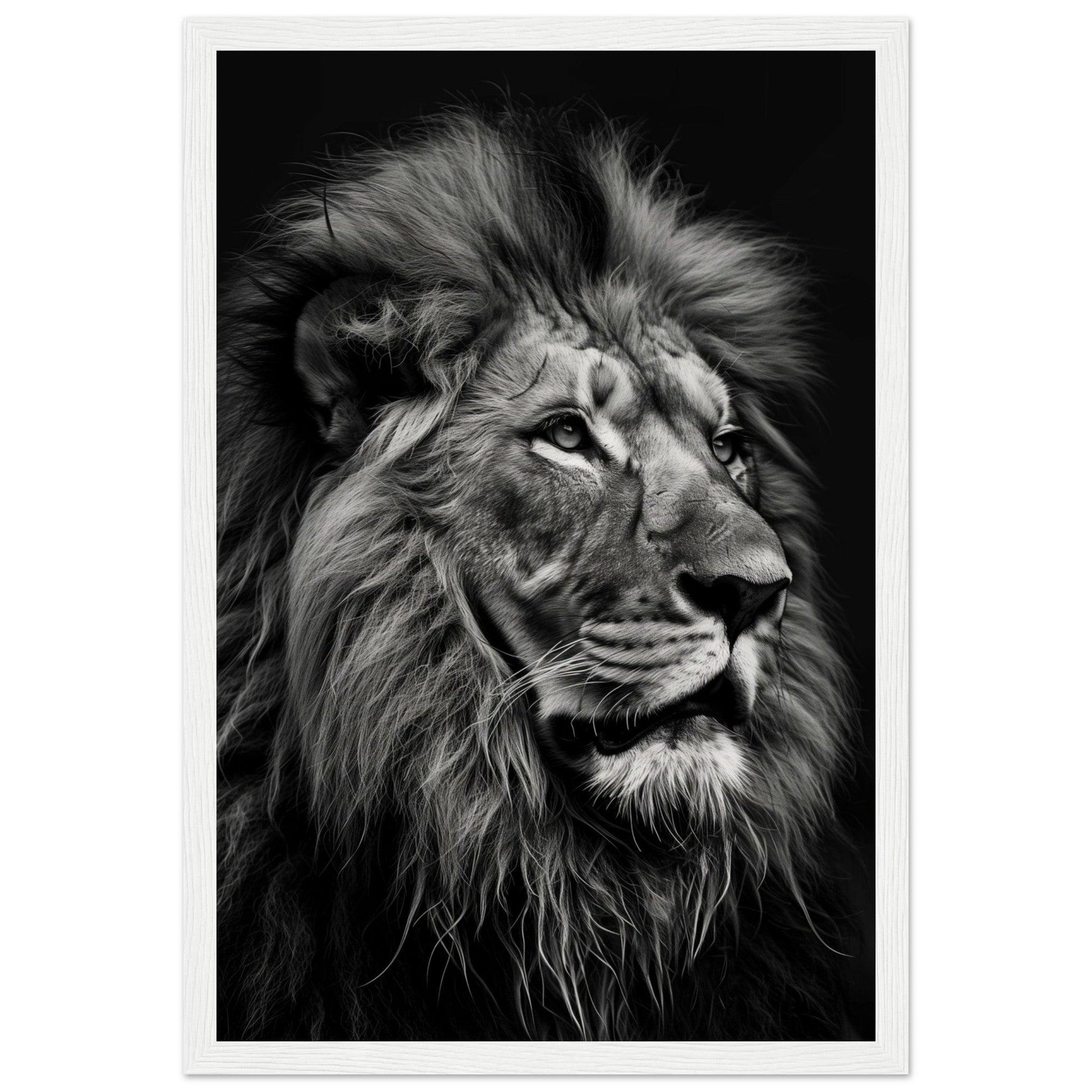 Poster Lion Noir et Blanc ( 30x45-cm-Bois-blanc)