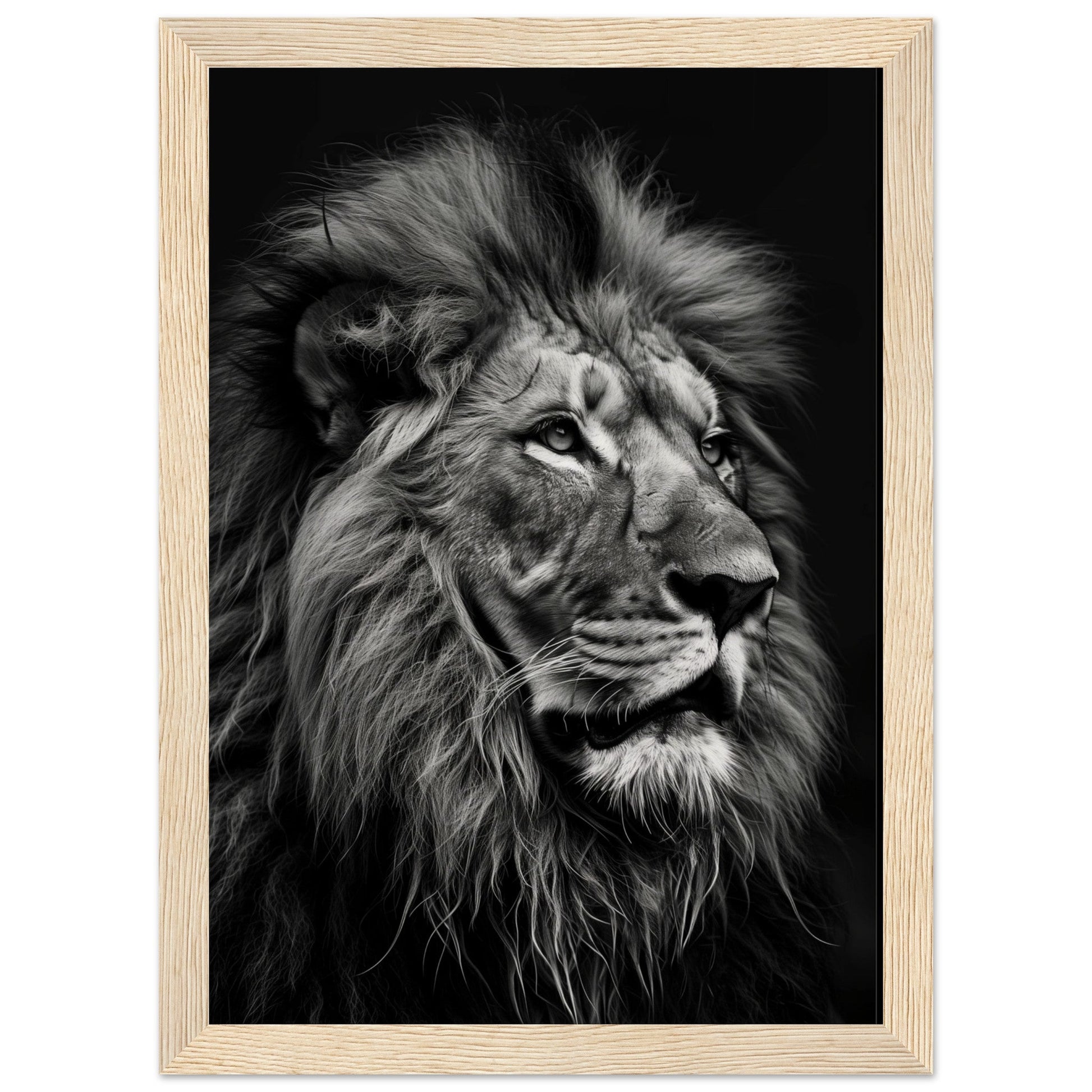 Poster Lion Noir et Blanc ( 21x29.7-cm-Bois-clair)