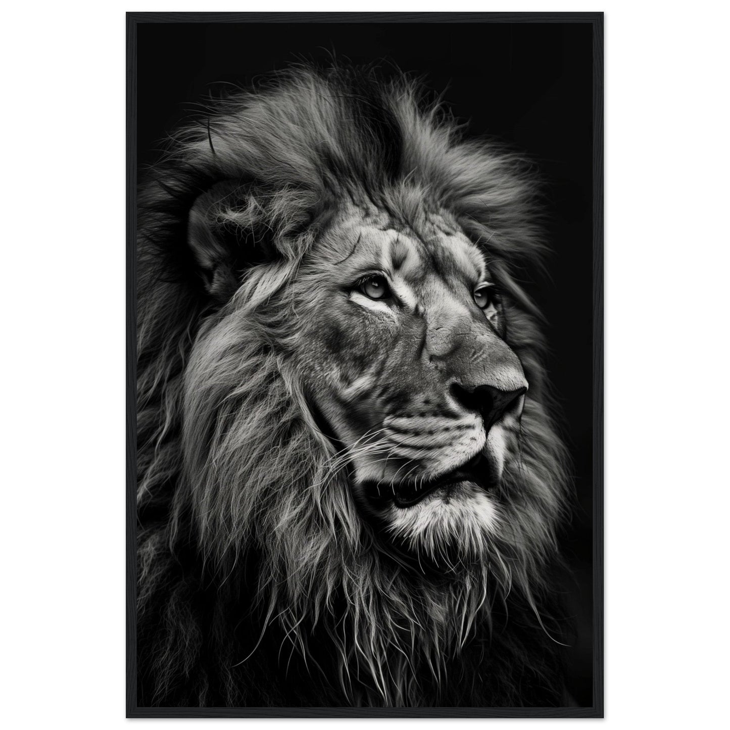 Poster Lion Noir et Blanc ( 60x90-cm-Bois-noir)