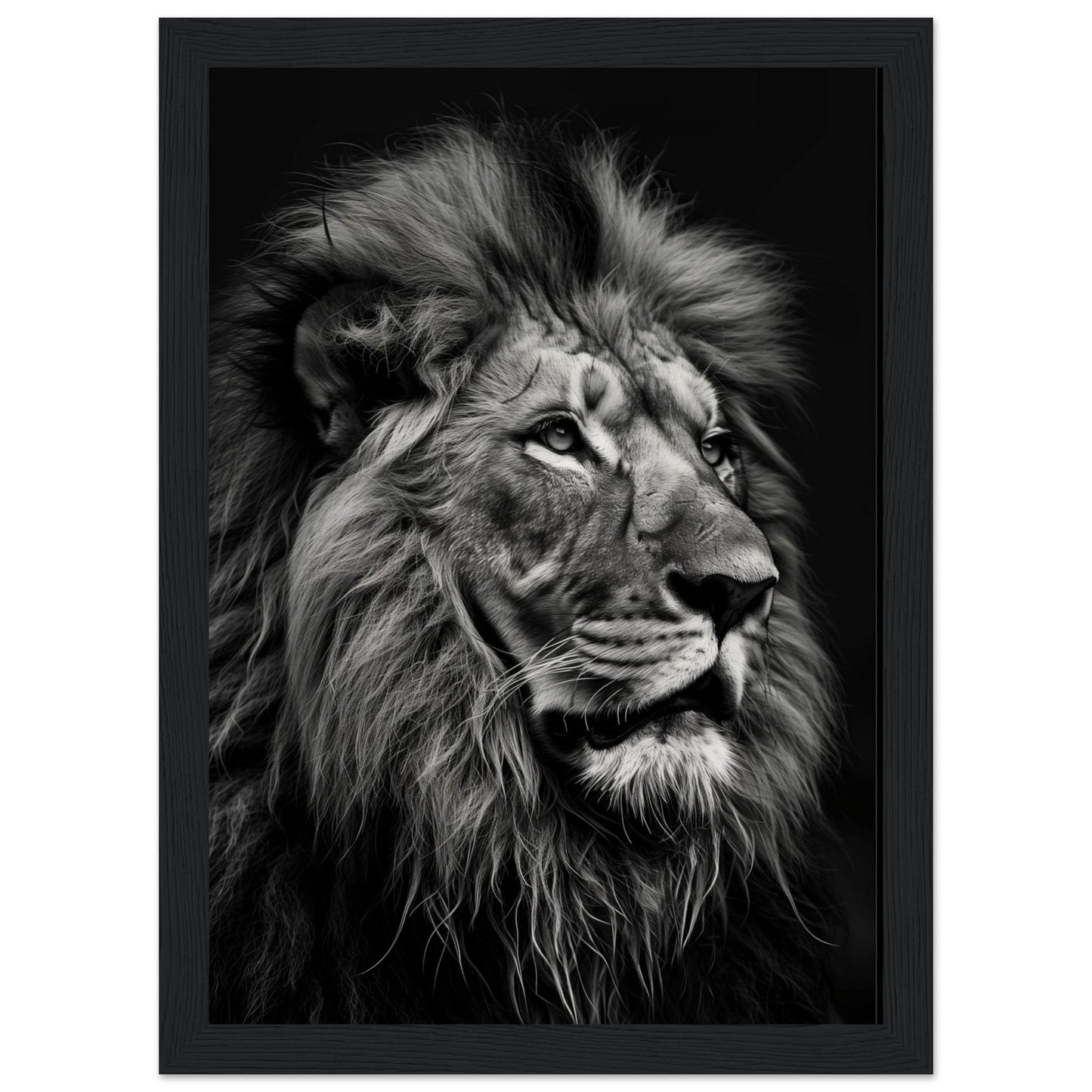 Poster Lion Noir et Blanc ( 21x29.7-cm-Bois-noir)