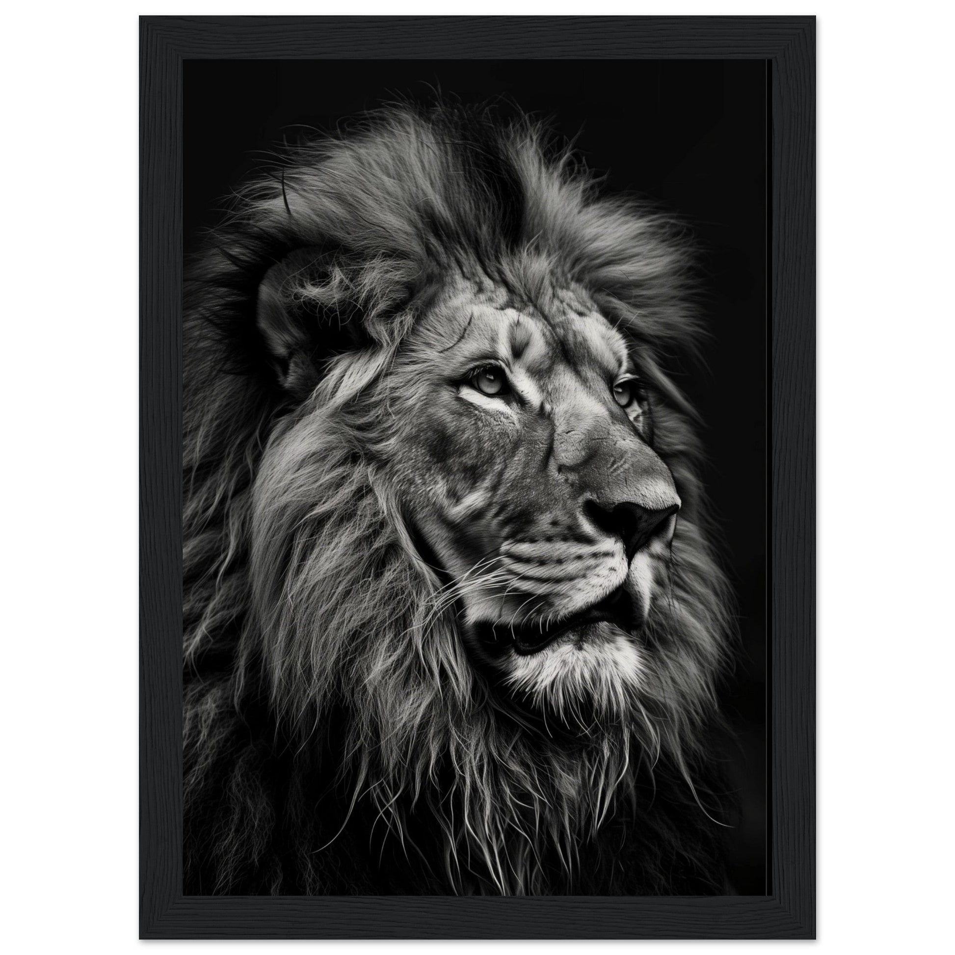 Poster Lion Noir et Blanc ( 21x29.7-cm-Bois-noir)