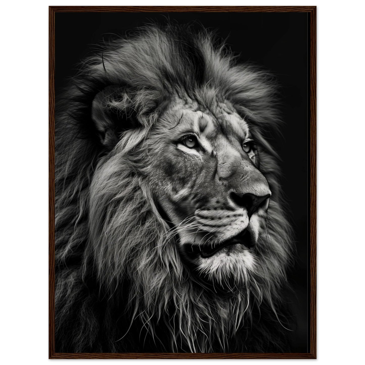 Poster Lion Noir et Blanc ( 60x80-cm-Bois-foncé)