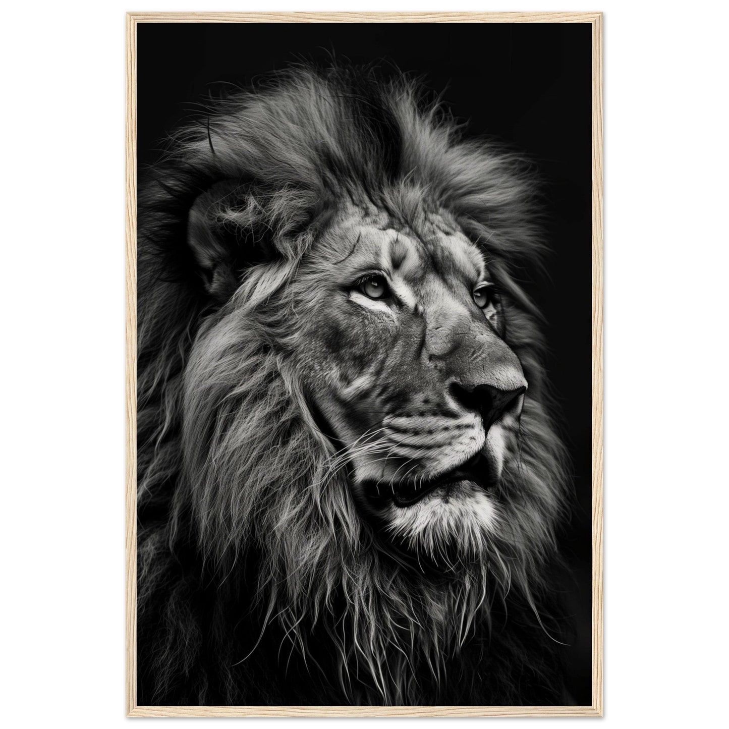 Poster Lion Noir et Blanc ( 60x90-cm-Bois-clair)