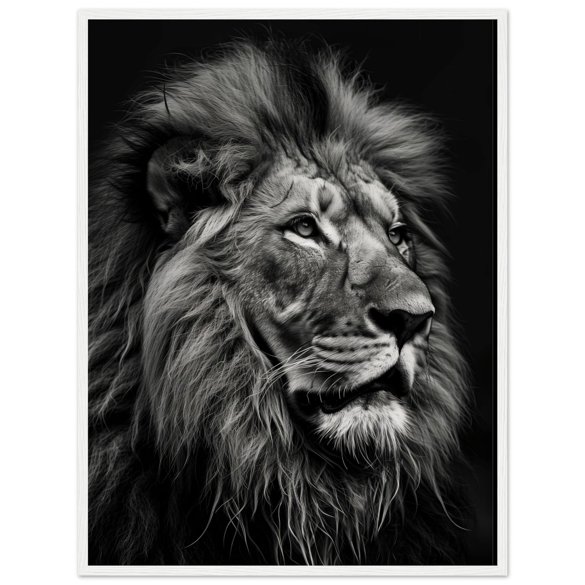 Poster Lion Noir et Blanc ( 60x80-cm-Bois-blanc)