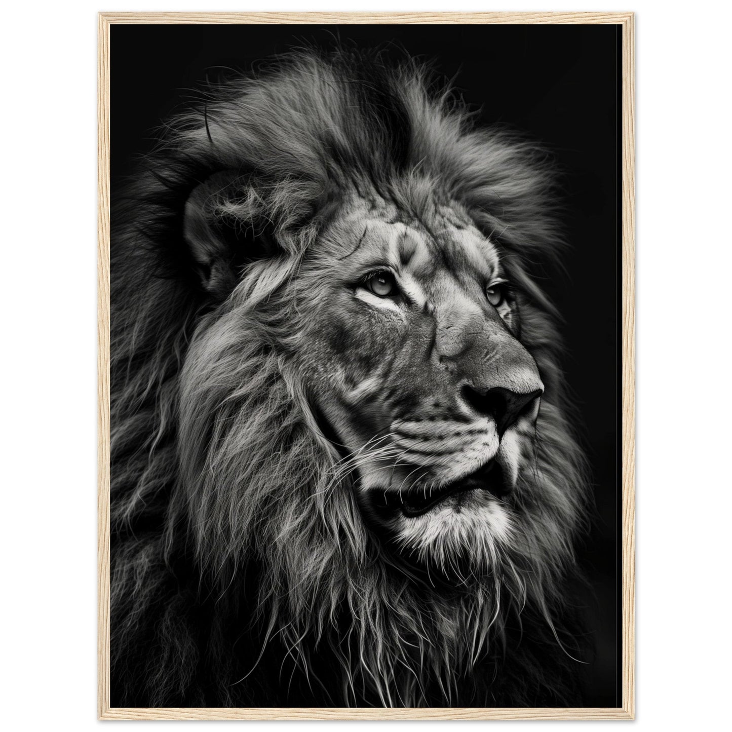 Poster Lion Noir et Blanc ( 60x80-cm-Bois-clair)