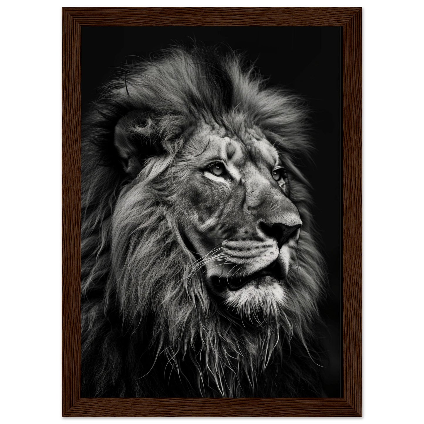 Poster Lion Noir et Blanc ( 21x29.7-cm-Bois-foncé)