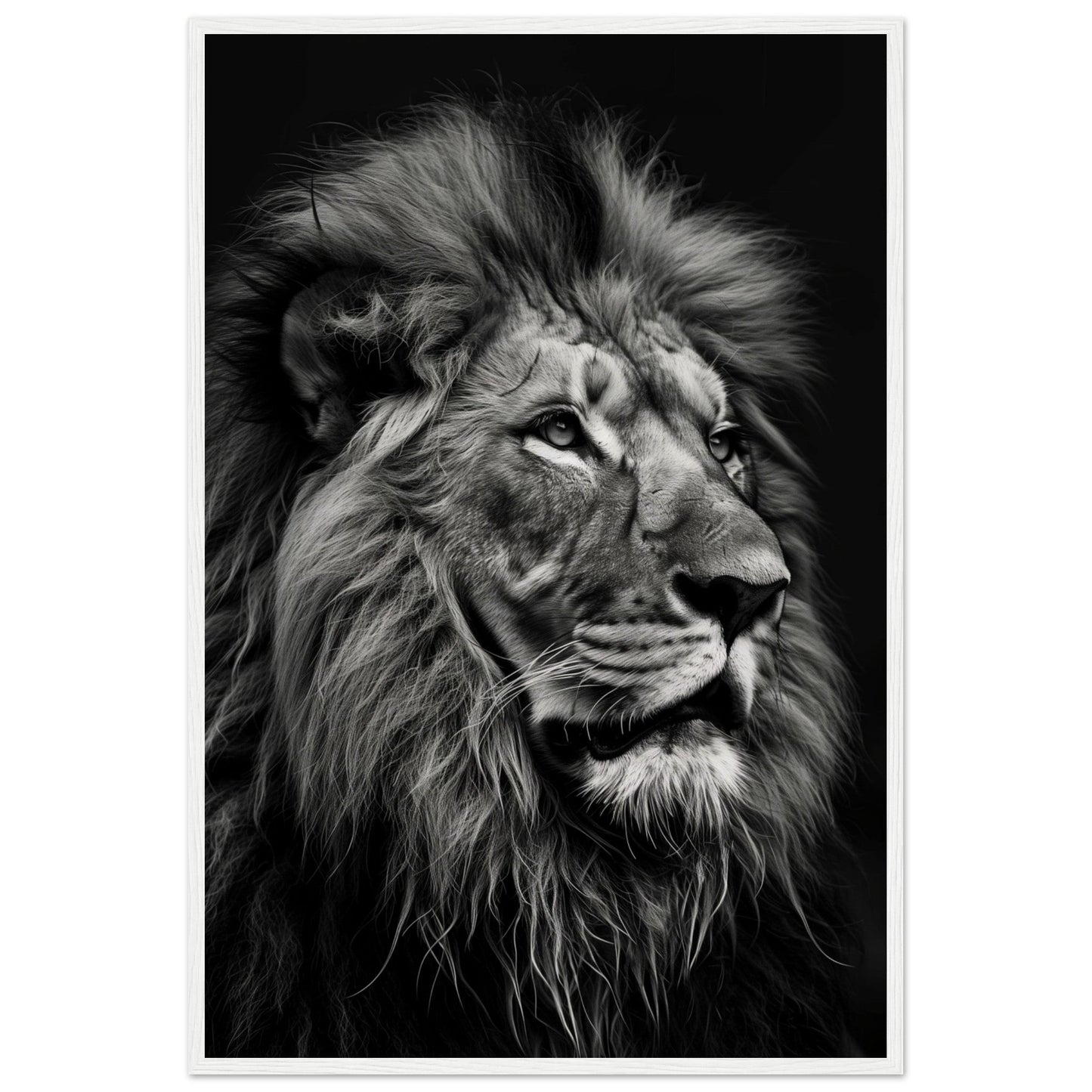 Poster Lion Noir et Blanc ( 60x90-cm-Bois-blanc)