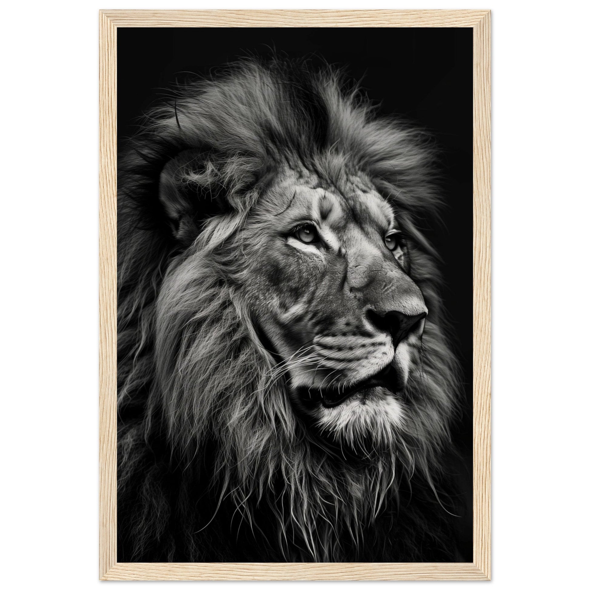 Poster Lion Noir et Blanc ( 30x45-cm-Bois-clair)