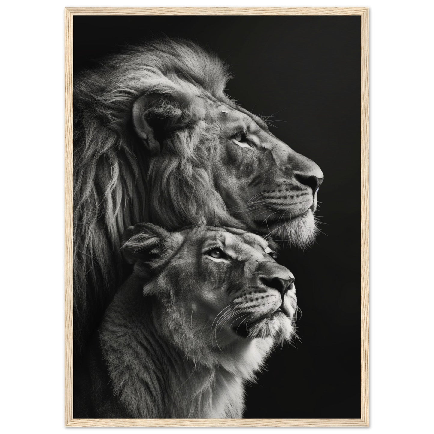 Poster Lion et Lionne Design ( 50x70-cm-Bois-clair)