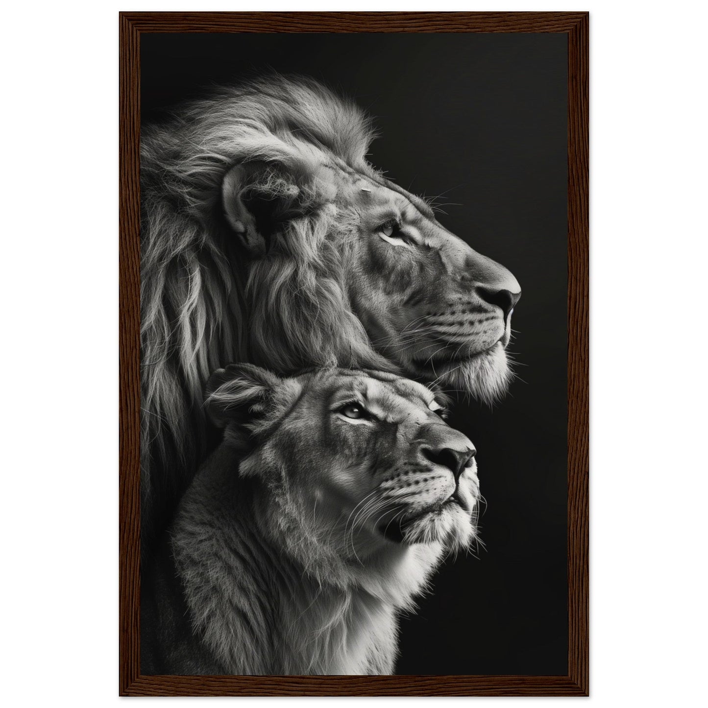 Poster Lion et Lionne Design ( 30x45-cm-Bois-foncé)