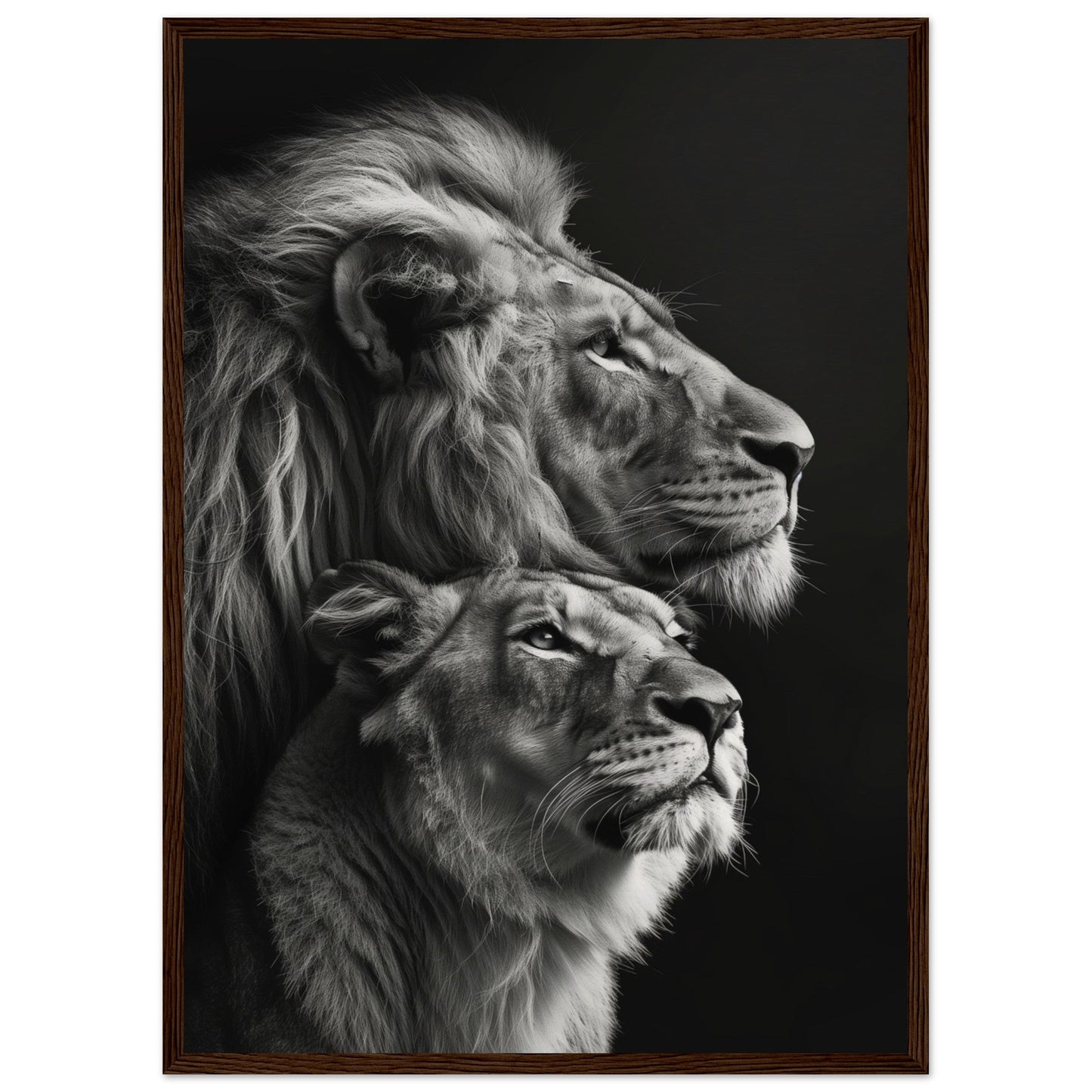 Poster Lion et Lionne Design ( 50x70-cm-Bois-foncé)