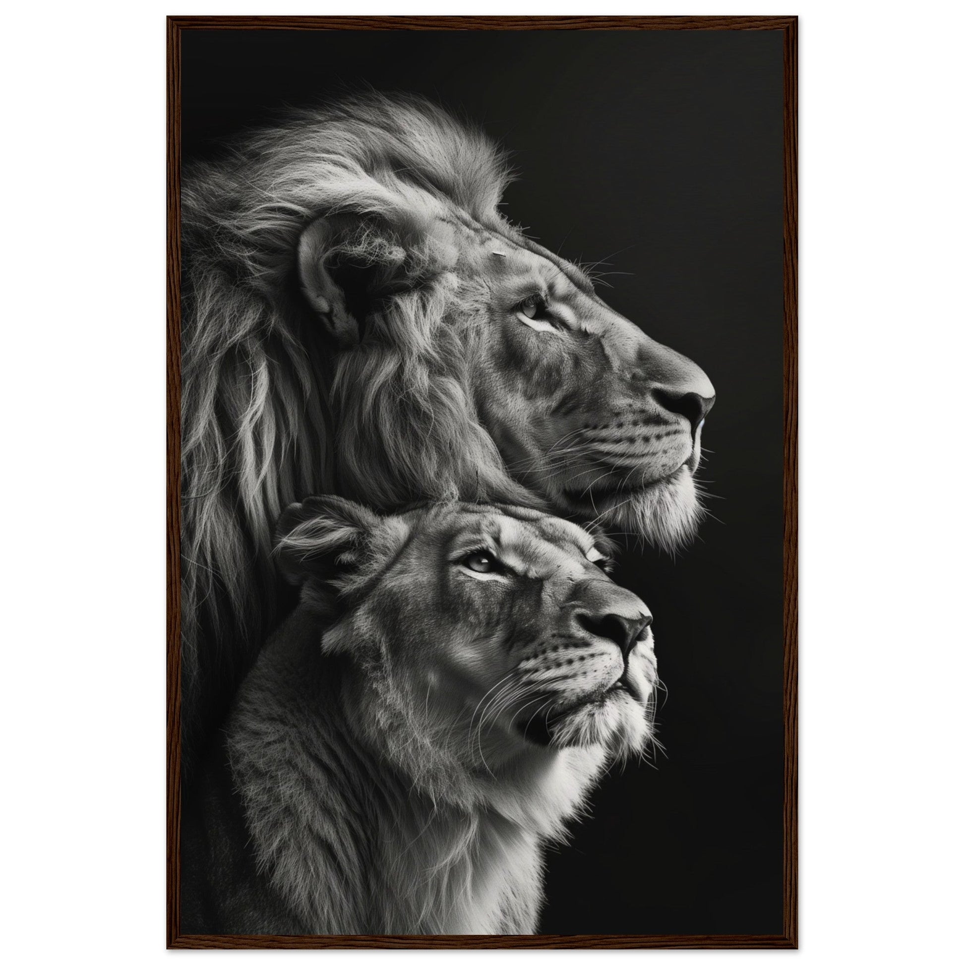 Poster Lion et Lionne Design ( 60x90-cm-Bois-foncé)