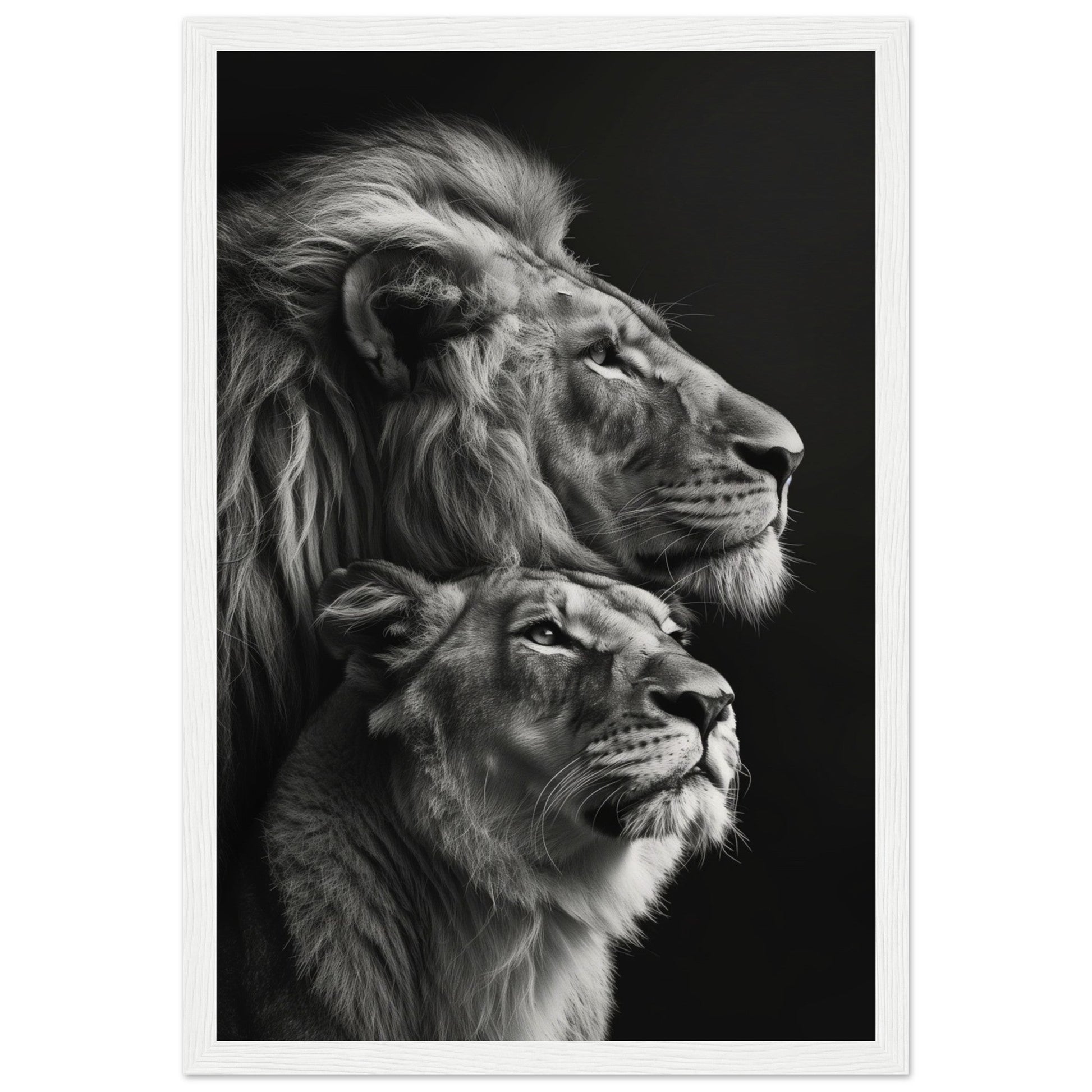 Poster Lion et Lionne Design ( 30x45-cm-Bois-blanc)