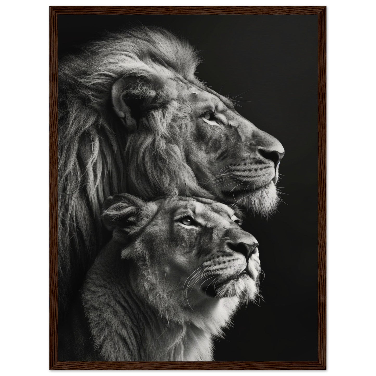 Poster Lion et Lionne Design ( 45x60-cm-Bois-foncé)