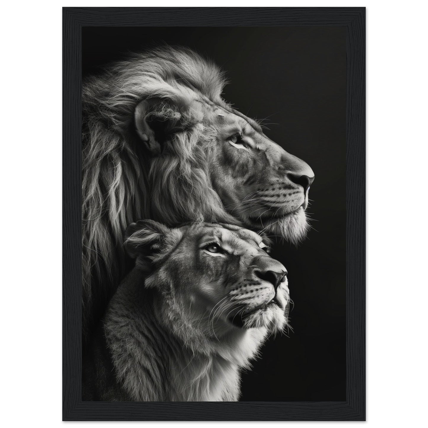 Poster Lion et Lionne Design ( 21x29.7-cm-Bois-noir)