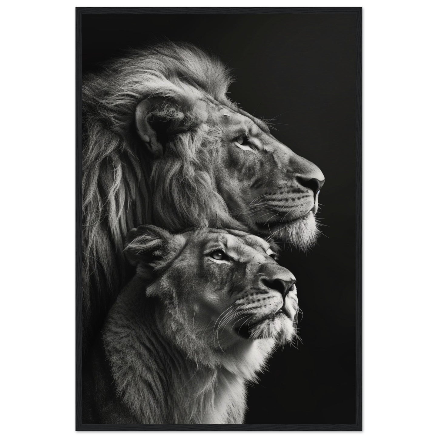 Poster Lion et Lionne Design ( 60x90-cm-Bois-noir)