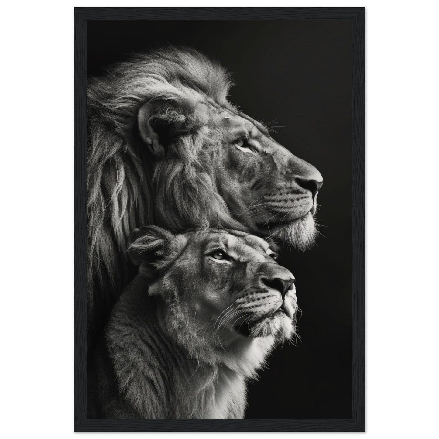 Poster Lion et Lionne Design ( 30x45-cm-Bois-noir)