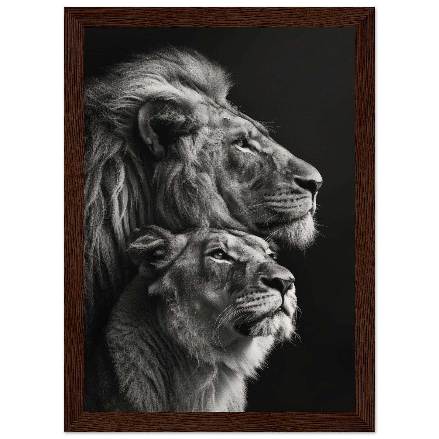 Poster Lion et Lionne Design ( 21x29.7-cm-Bois-foncé)