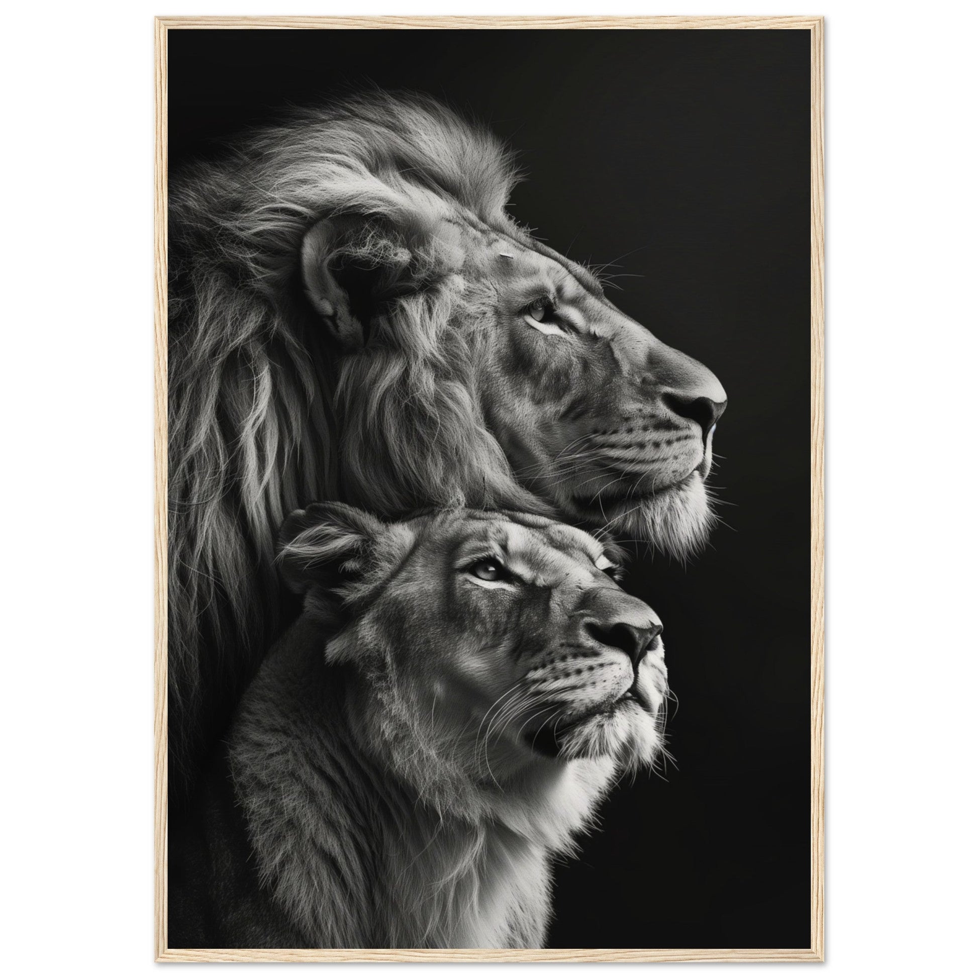 Poster Lion et Lionne Design ( 70x100-cm-Bois-clair)