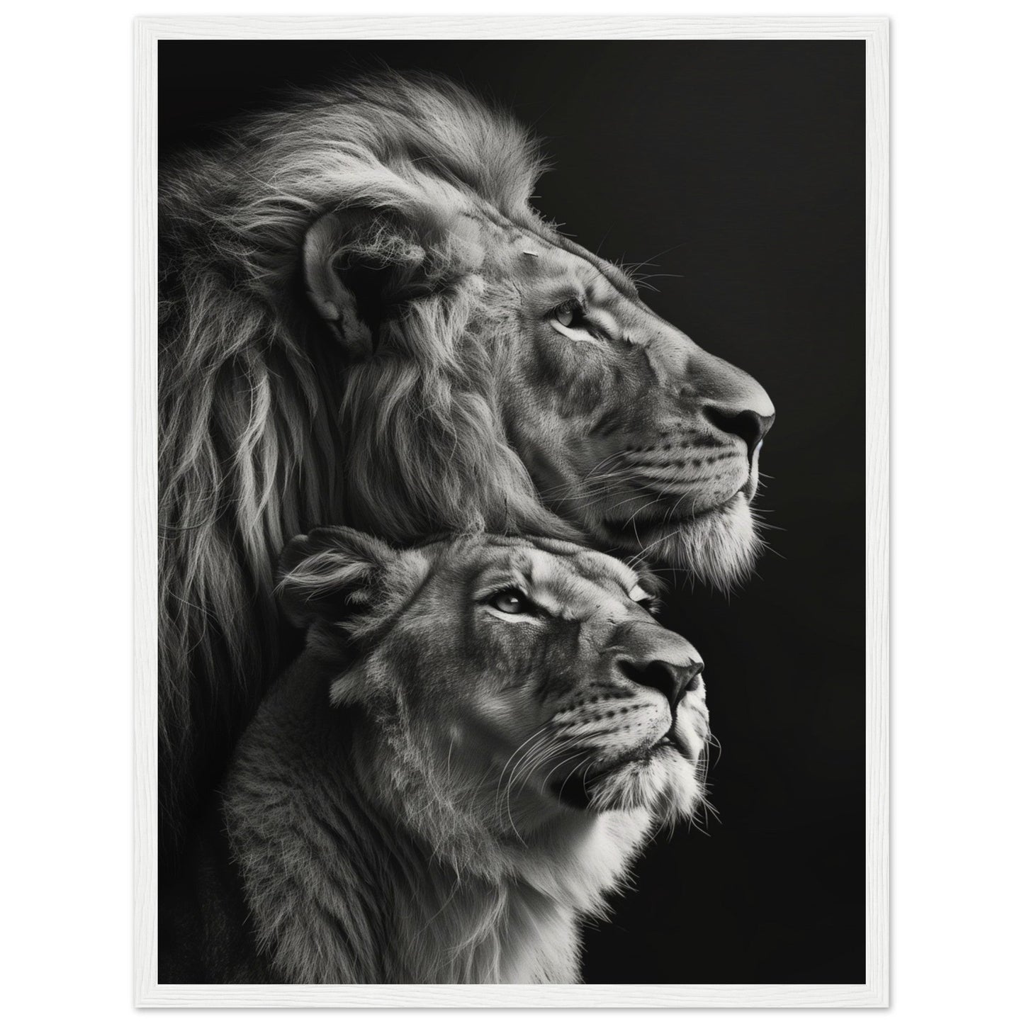 Poster Lion et Lionne Design ( 45x60-cm-Bois-blanc)