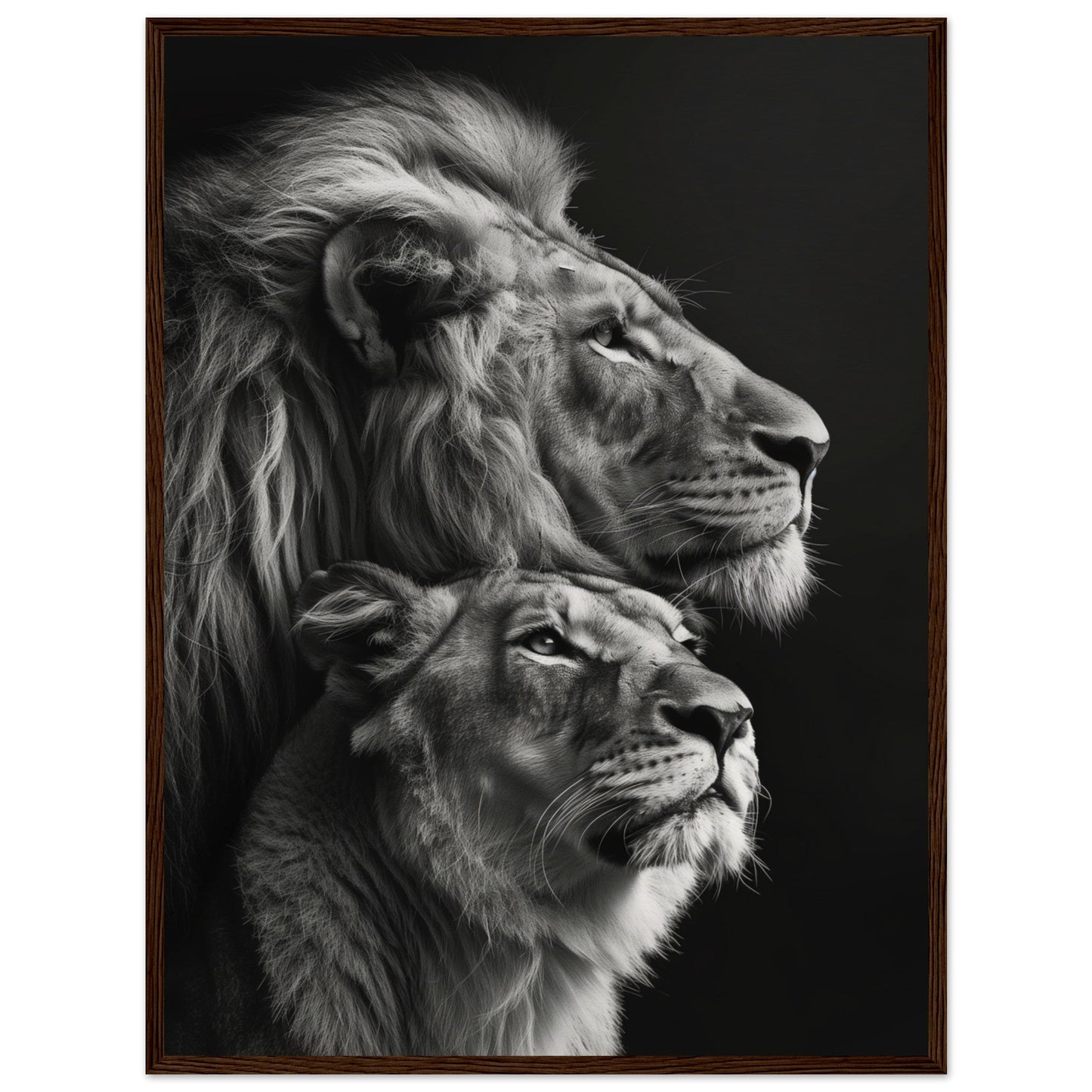 Poster Lion et Lionne Design ( 60x80-cm-Bois-foncé)