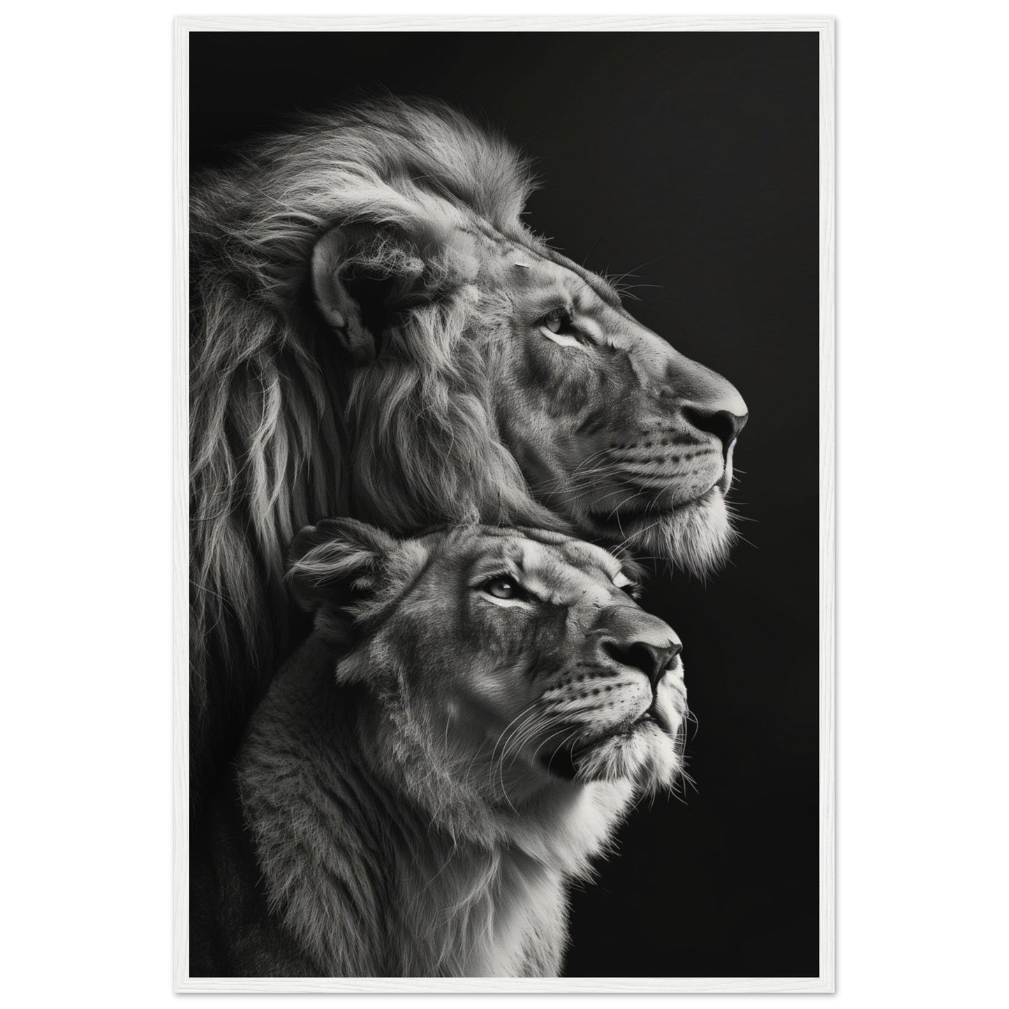 Poster Lion et Lionne Design ( 60x90-cm-Bois-blanc)