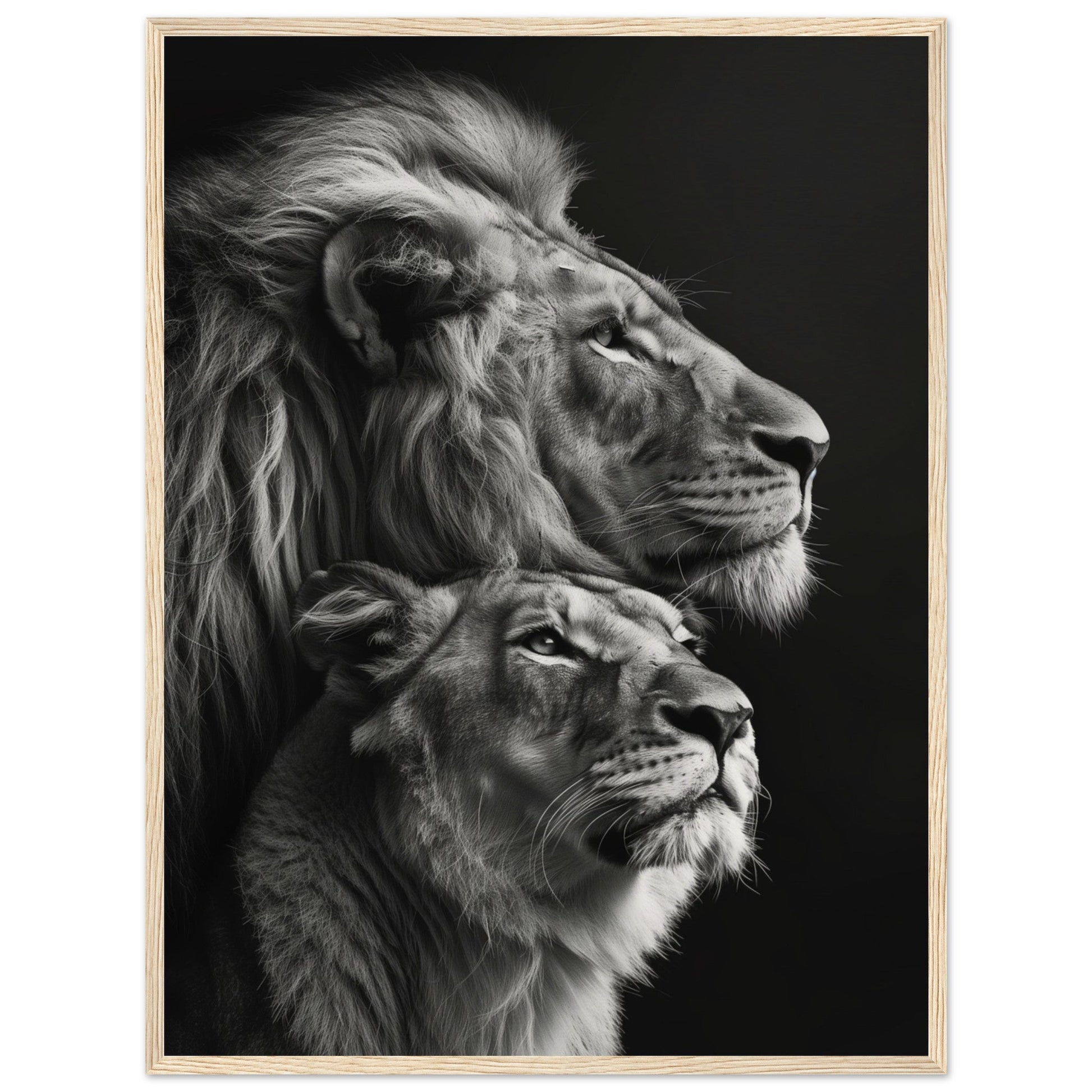 Poster Lion et Lionne Design ( 60x80-cm-Bois-clair)