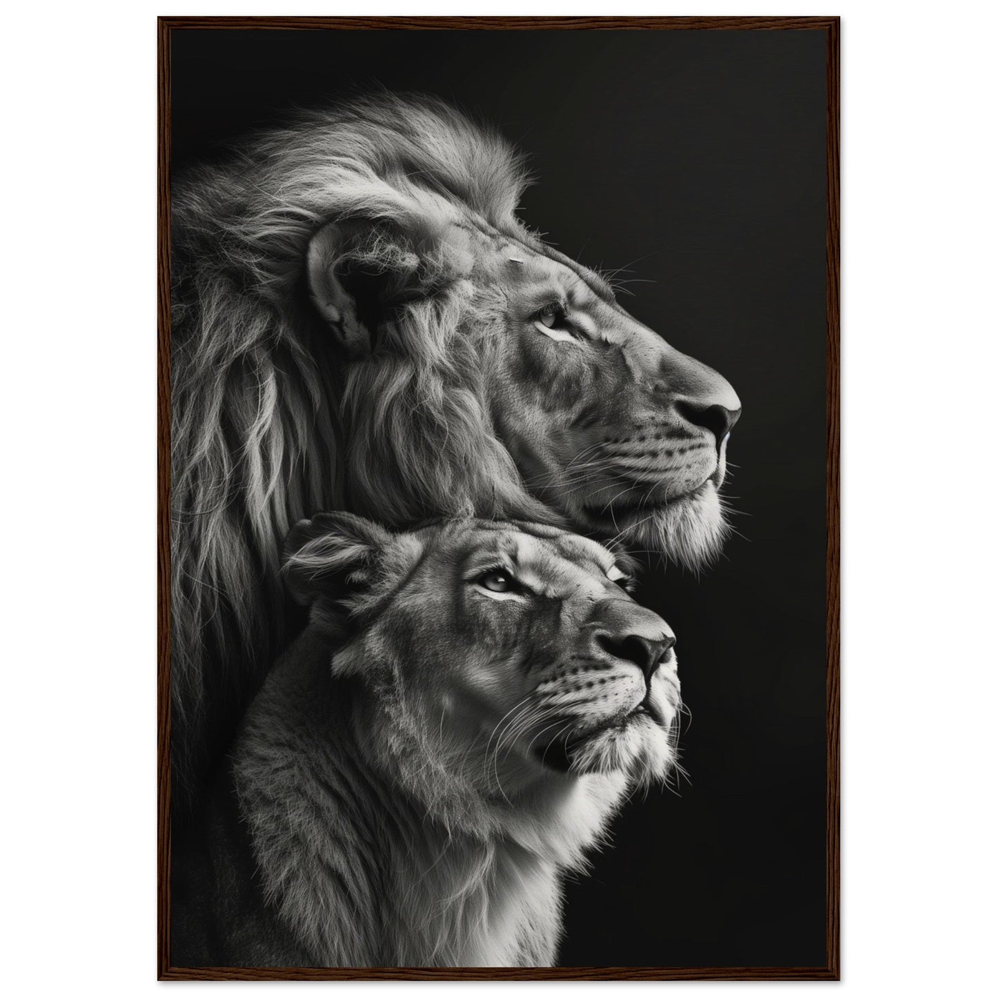 Poster Lion et Lionne Design ( 70x100-cm-Bois-foncé)