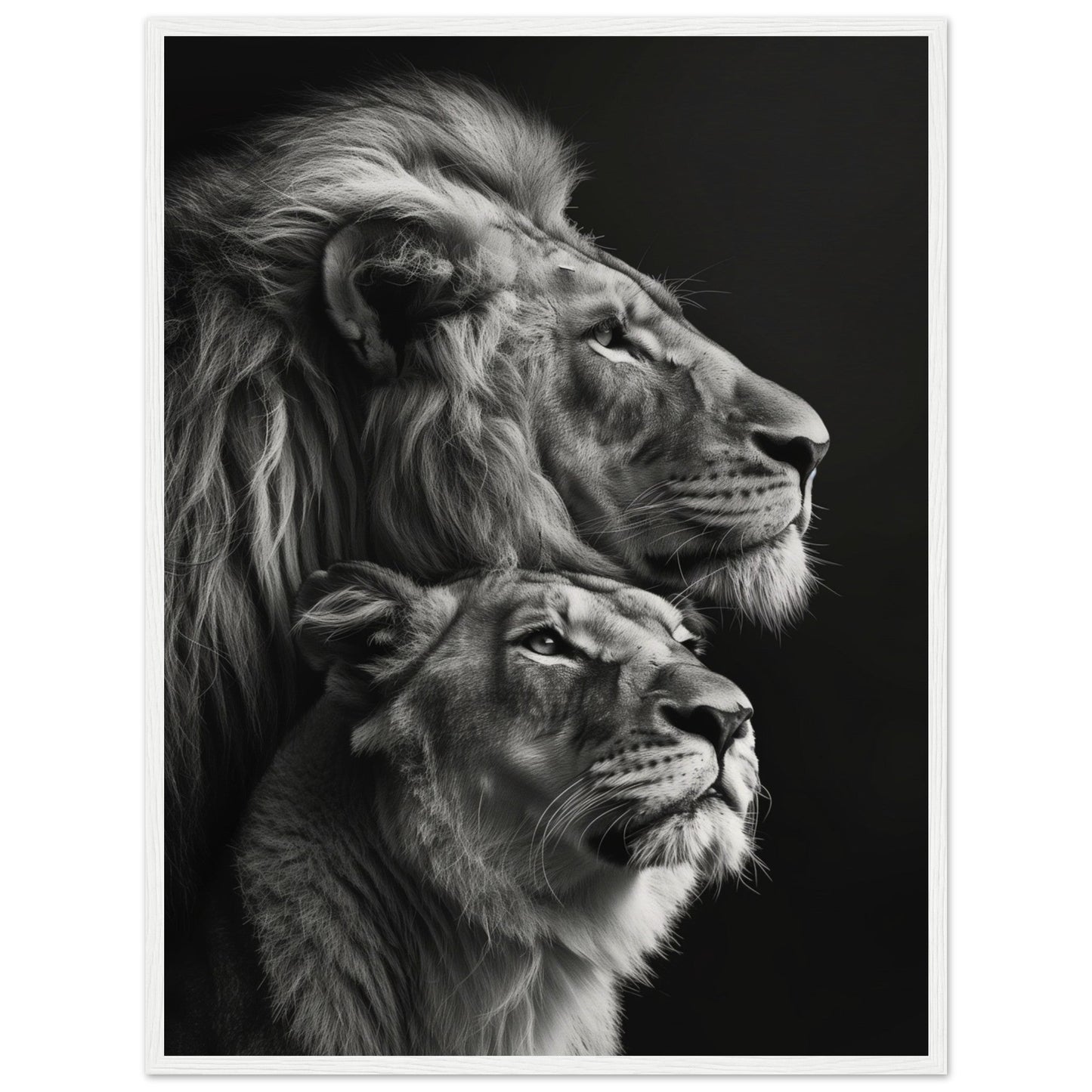 Poster Lion et Lionne Design ( 60x80-cm-Bois-blanc)