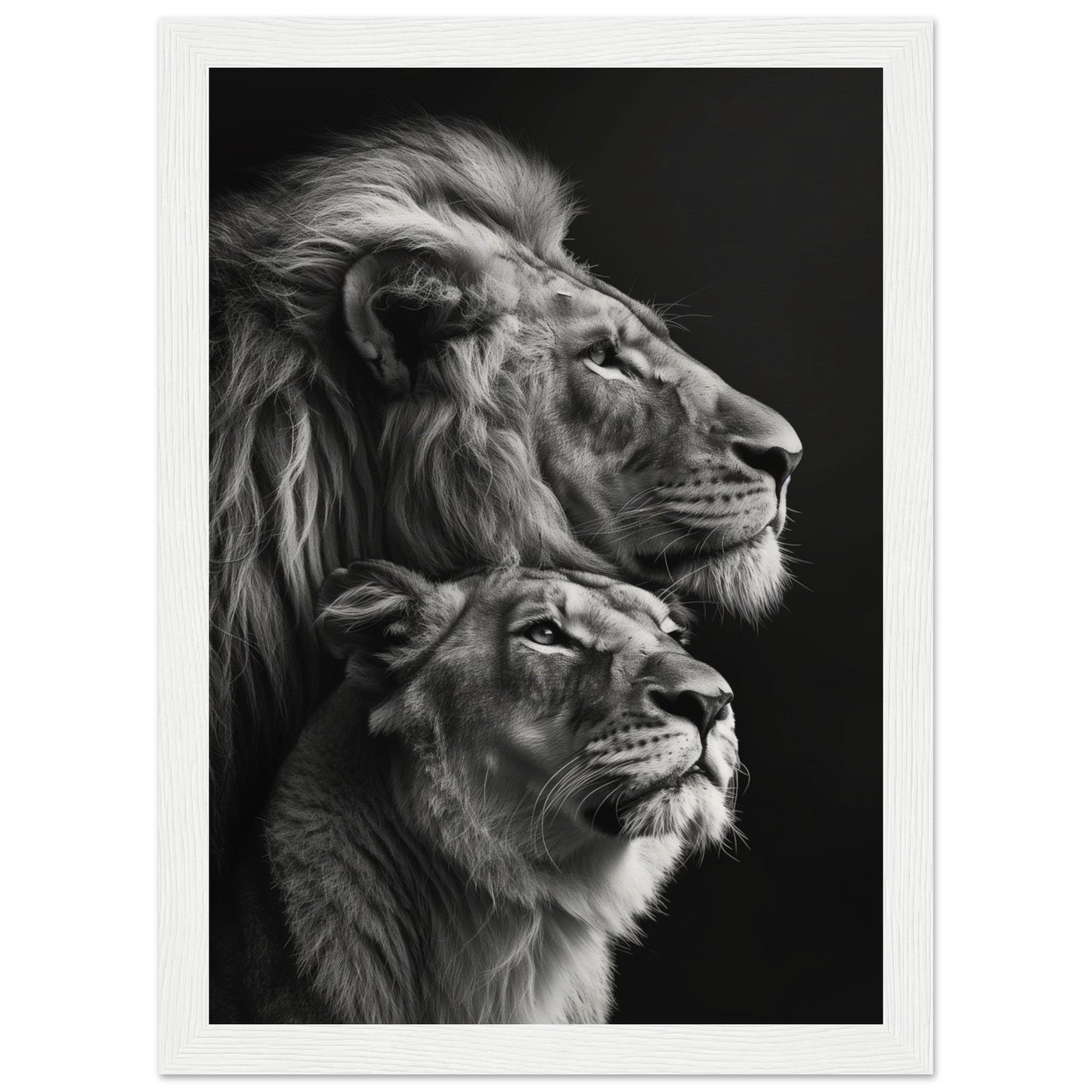 Poster Lion et Lionne Design ( 21x29.7-cm-Bois-blanc)