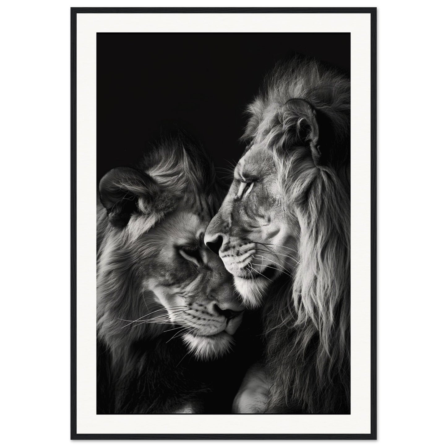 Poster Lion et Lionne Noir et Blanc ( 70x100-cm-Bois-noir)